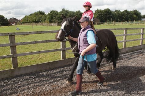 horse riding lessons in london